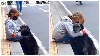 Random Acts Of Kindness Towards Dogs Faith In Humanity Restored