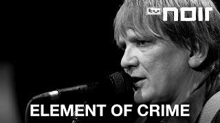 Element of Crime - Am Ende denk ich immer nur an dich live bei TV Noir