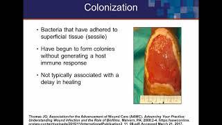 Proactive Biofilm-Based Wound Management