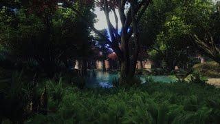 Oblivion with mods -  Blackwood Jungle