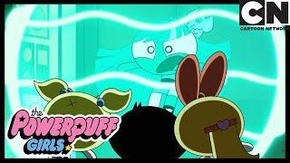 Powerpuff Girls Origins BLISS  Cartoon Network