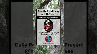 Pray the Holy Rosary with Us Today Honey Bee Hive - Saturday - Joyful Mysteries #shorts