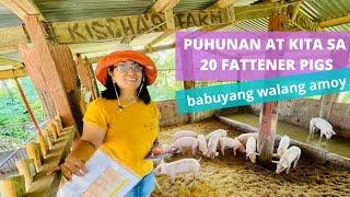 MAGKANO PUHUNAN AT KITA SA PAGAALAGA NG 20 FATTENER PIGS?   Step by Step Guide  JUNEJULY 2022