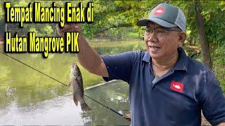 RP 2.000 Mancing Ikan Nila Sepuasnya di Hutan Kota Jakarta