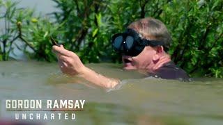 Tackling the Daunting Task of Snail Diving  Gordon Ramsay Uncharted