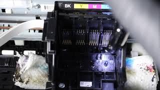 Epson WF 2850 How To Flush Printhead  - No Expertise Required