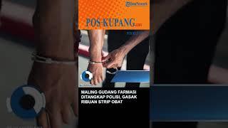 Maling Gudang Farmasi Kabupaten Kupang Ditangkap Polisi Gasak Ribuan Strip Obat