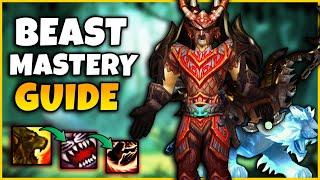 Beast Mastery CATACLYSM PVP Guide  Stats Gear Talents Macros Pets Gamplay  CATA CLASSIC