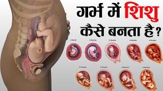 पेट में बच्चे का विकास कैसे होता है   1 to 9 month of baby growth during Pregnancy