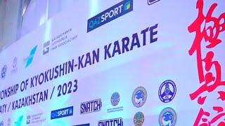 World Championship Kyokushinkan karate  Чемпионат мира Киокушин-кан Каратэ 2023 #казахстан Full HD