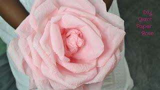 How to make a Giant Rose using Crepe Paper.