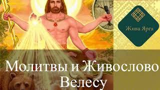 Молитвы  Велесу. Богу Богатства и Мудрости. Живослово Велесу.