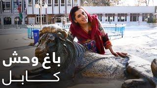 گزارش ویژه میترا از باغ وحش کابل  Kabuls Zoo Special Report