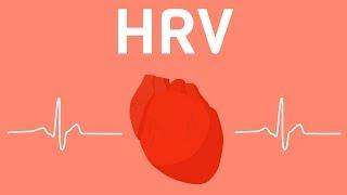 Everything You Should Know About Heart Rate Variability HRV