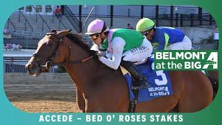 Accede - 2024 - Bed O Roses