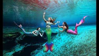 SWIMMING WITH MERMAIDS