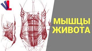 Мышцы живота Александр Рыжкин - Избранное ч.23