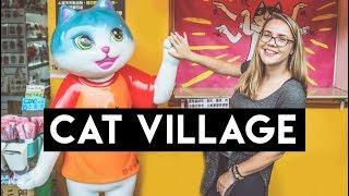 A PURRFECT Day Trip From Taipei - Houtong Cat Village Jiufen & Shifen