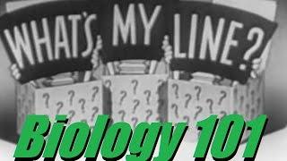 Whats My Line? - Biology 101 WML-Style CLIPS VIDEO