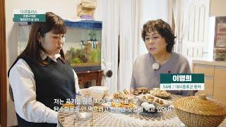 식이요법에 약까지... 그러나 번번이 실패한 다이어트?  다큐 플러스 243회  JTBC 230108 방송