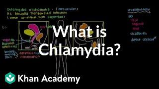 What is chlamydia?  Infectious diseases  NCLEX-RN  Khan Academy