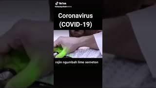 Proses Penyebaran Virus Covid 19 atau disebut Corona