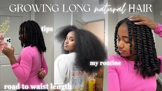 How Im Growing Long Hair in 2024  My Natural Hair Care Routine for Length Retention *update*