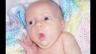 Cute Babies lip Syncs -  Funniest Baby Videos Ever