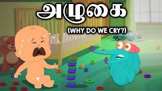 நாம் ஏன் அழுகிறோம் ?  Why Do We Cry ?  Dr. Binocs Tamil  Tamil Educational Videos