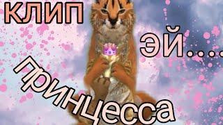 Клип принцесса Wildcraft