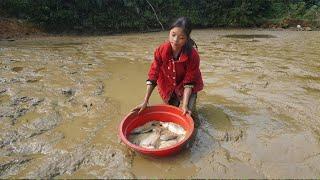 Poor girl. Harvesting fish and snail to sell - Building a new life