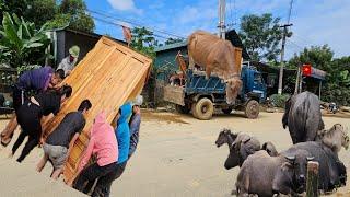 The driver and the girl were driving the truck Peoples belongings flooded by storms yagi.