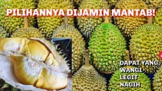 BAGAIMANA CARA MEMILIH DURIAN YANG MATANG BAGUS DAN ENAK?