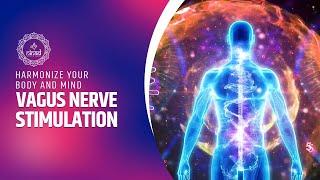 Vagal Tone  Harmonize Your Body and Mind Vagus Nerve Stimulation with Relaxing 432hz Music