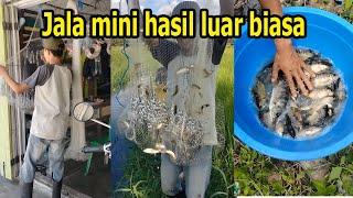 3 Part Tentang Menjala Ikan dapat ikan wader dan nila