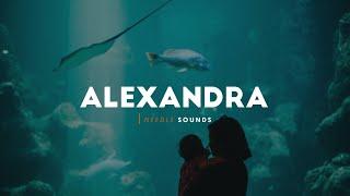Reality Club - Alexandra Lyrics