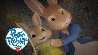 Peter Rabbit - The Wrong Rabbit Hole  Cartoons for Kids