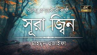 সূরা জিন এর অন্তর তৃপ্তকারী তিলাওয়াত ┇ Recited by Mahmud Huzaifa ┇ An Nafee ┇ আন নাফী