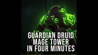 Guardian Druid  Mage Tower  World of Warcraft