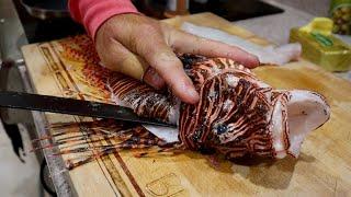 How to Catch Clean and Cook a *LIONFISH* DEADLY VENOMOUS 