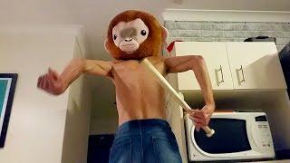 How I settle the kids for bed - Im a Monkey Man and Im going to get you