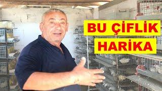 BEYAZ BILDIRCIN ÇİFLİĞİNDEYİZ