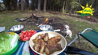 Рыбалка на Лесной Реке. Донки. Чешуя Размером с Монету. Крупная Рыба на Ужин