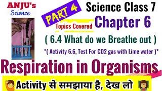 Part 4 What do we Breathe out  Class 7 Science Chapter 6 Respiration in Organisms 2023-24