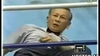 Referee K.O. Boxing Fail