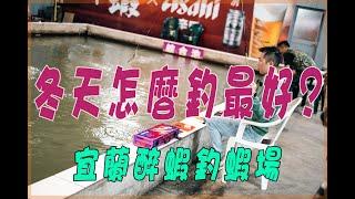 冬天釣蝦這樣釣就對了｜釣飄？拖？貼？｜沾粉要用多少？｜宜蘭醉蝦釣蝦場｜輕量化新款天秤｜#蝦場老闆的眼淚｜龜毛拔拔｜釣蝦｜钓虾｜罗氏虾｜虾场