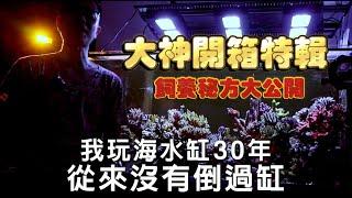 【在他的字典裡面沒有倒缸二字是什麼大神這麼牛X把海水缸養的出神入化】薇薇珊瑚大神特輯 #海水缸 #海水魚 #水族館 #水族 #珊瑚 #coral #fish #fishtank #sps #lps