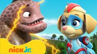 Щенячий патруль  Мегащенки против гигантских животных  Nick Jr. Cyrillic