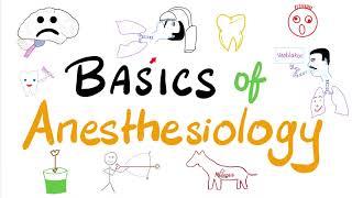 Basics of Anesthesia  -  An introduction to Anesthesiology