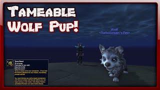 The Taming of the Wolf Pup